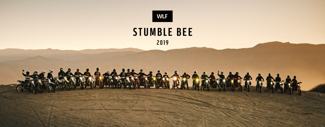 StumbleBee 2019